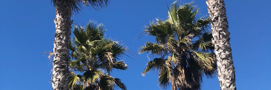 DVann25's profile banner image