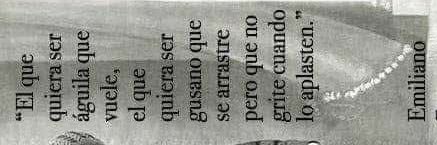 Fernando Palacios banner