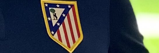 PGallardo banner