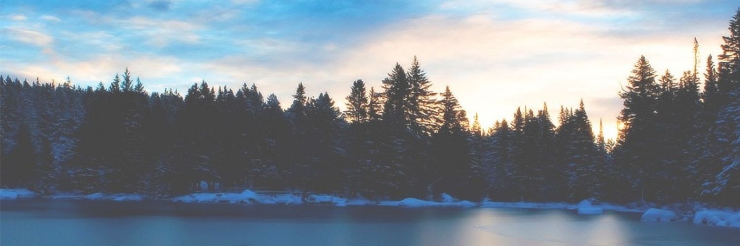 cacaugoes's profile banner image