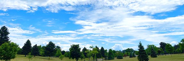 ReneeMTanner Profile Banner