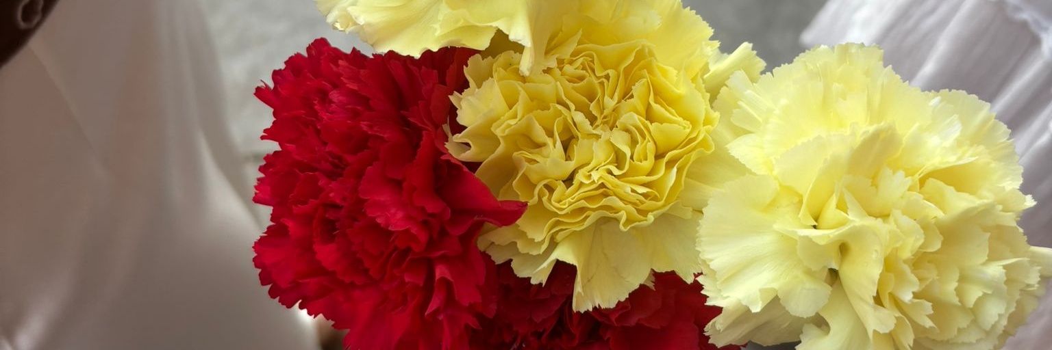 crisanmar27's profile banner image