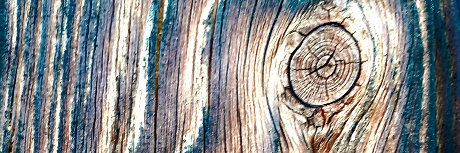 Christophe Rauzy banner