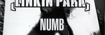 NumbyNumbb's profile banner image