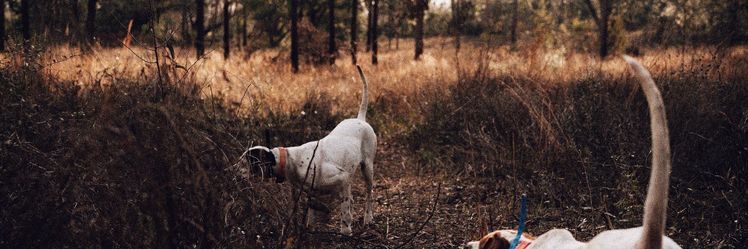 Jon_Jaimes's profile banner image