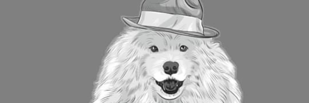 Stefanía Gutiérrez H banner