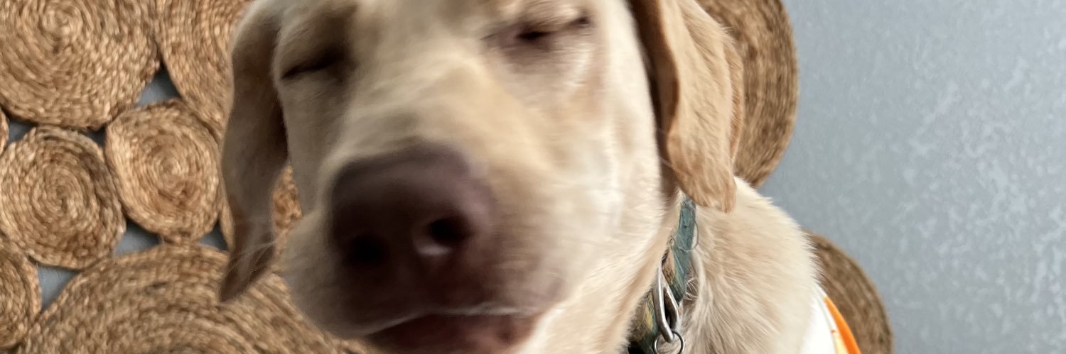 bluuuhhhhh's profile banner image