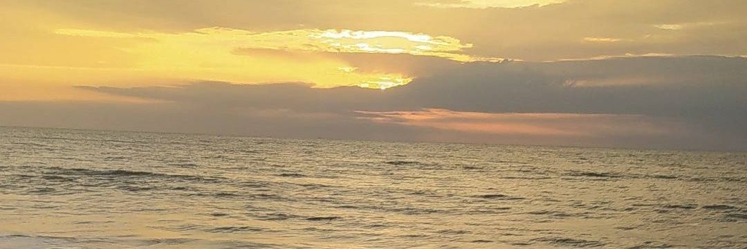 Gbrionesb29's profile banner image