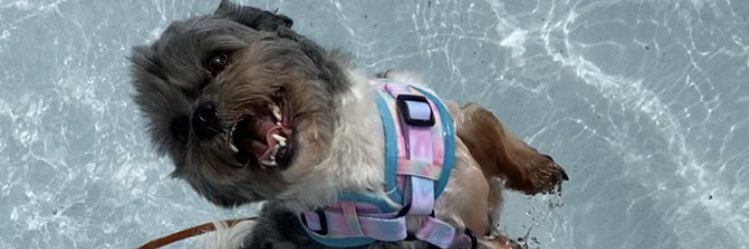 JessSayinn_'s profile banner image