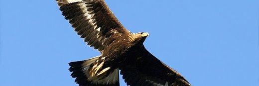 ClimbieKassi's profile banner image