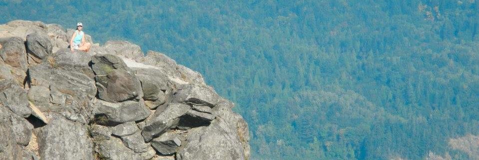 jillmessick1's profile banner image