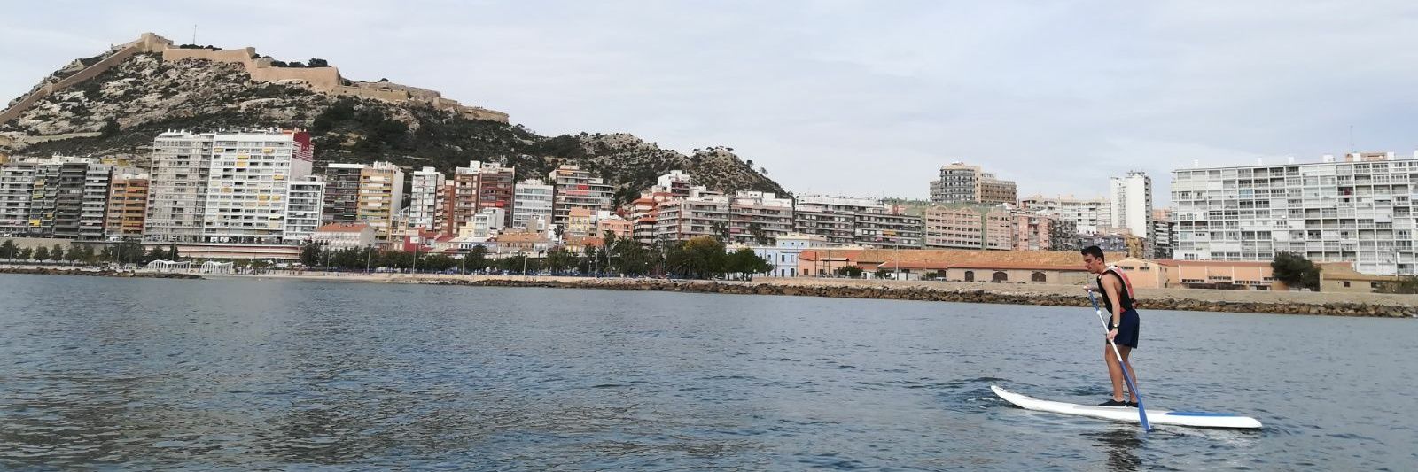 jamón elordi banner