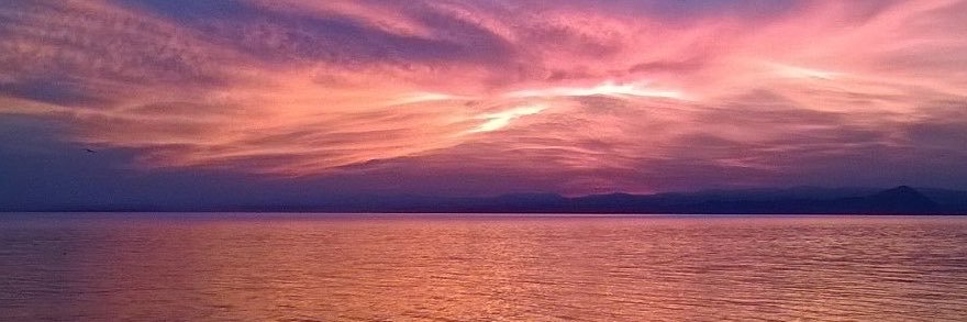 pasqualini73's profile banner image