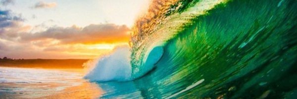 linnyisms Profile Banner