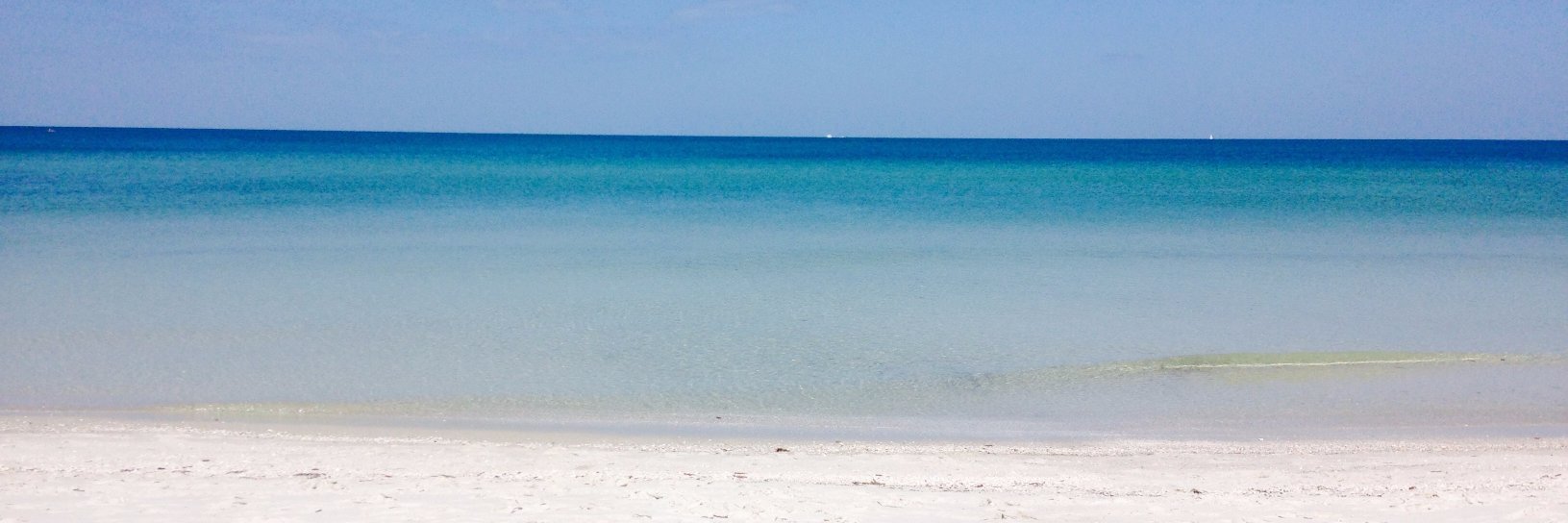 Cassie Browne banner