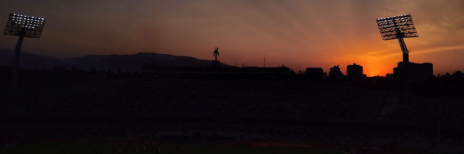 Hamilton (Pumas hate account) banner