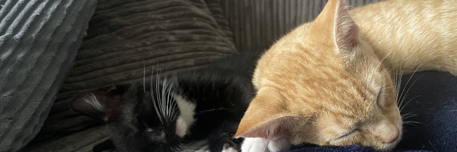 GrifCato's profile banner image