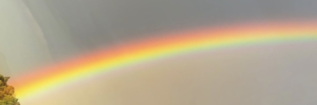 MonchisAlarcon's profile banner image