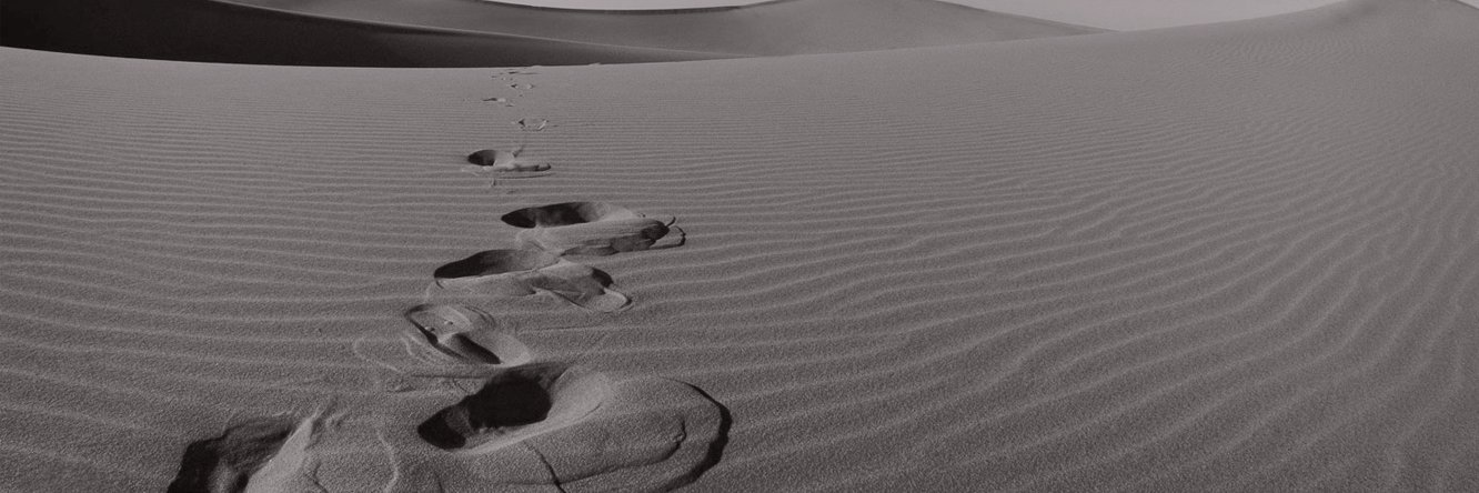 Santiago Rossi banner