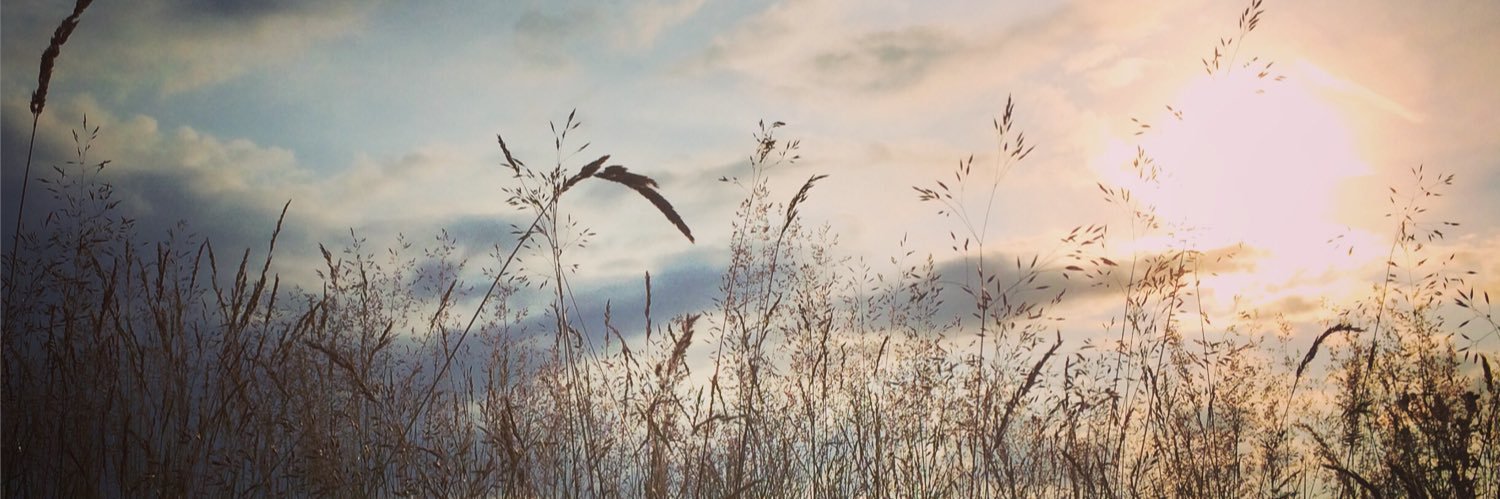 david coldwell banner