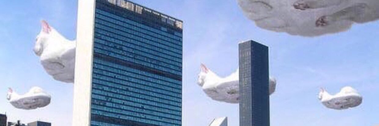 flat cat $FLATCAT banner