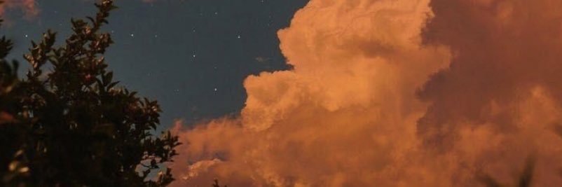 brenicole05's profile banner image