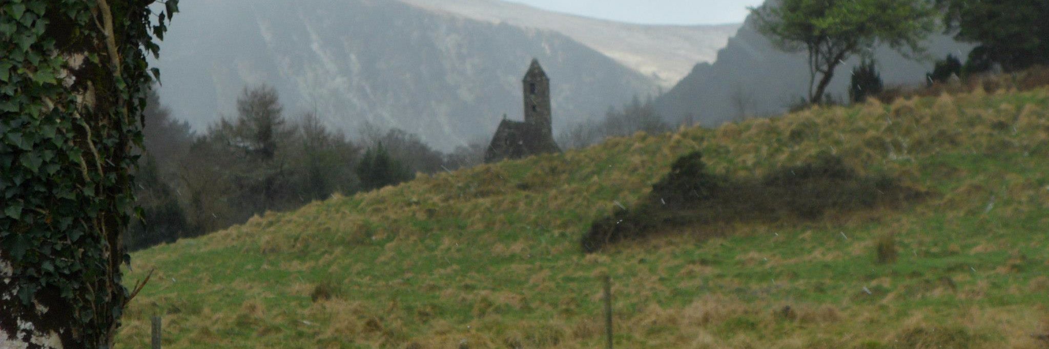 David Davison banner