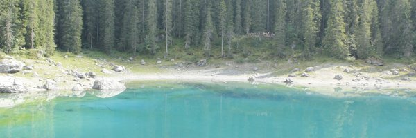 ayalc76 Profile Banner