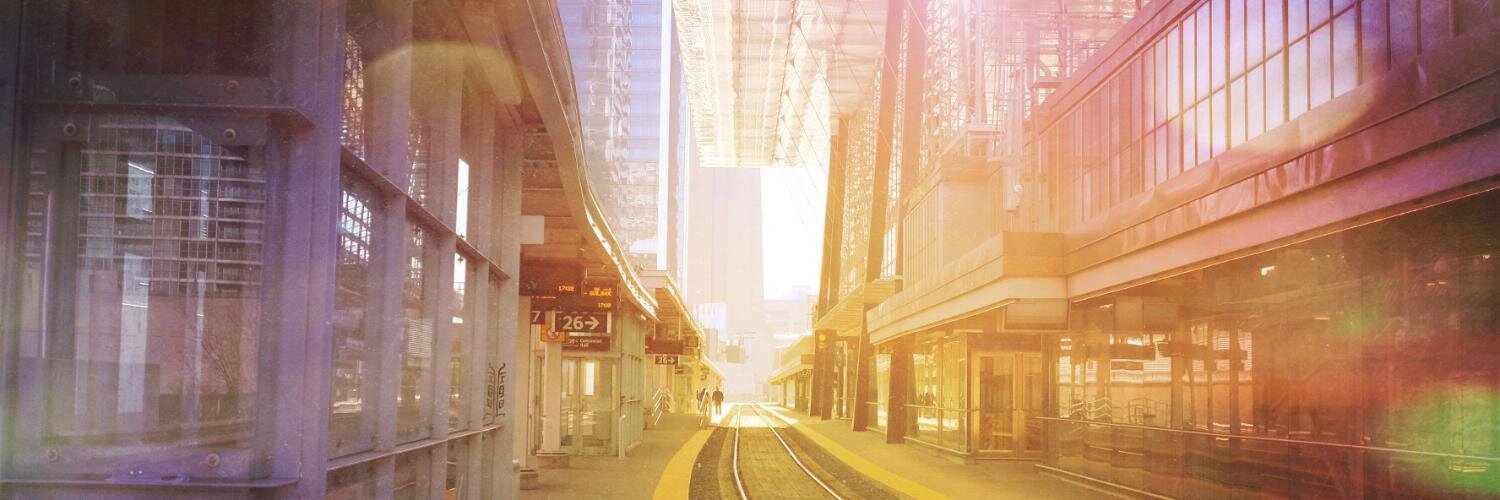 shannon winterstein banner