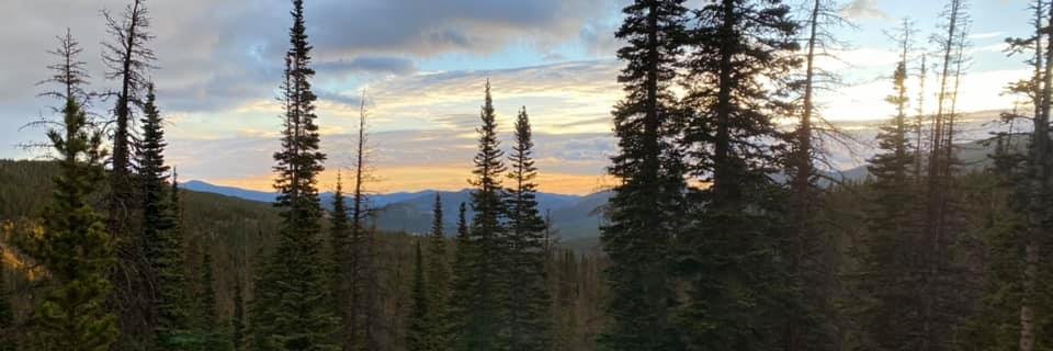 Daniela Guardiola banner