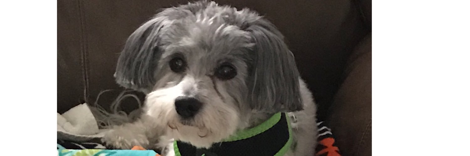FanceNclnance's profile banner image