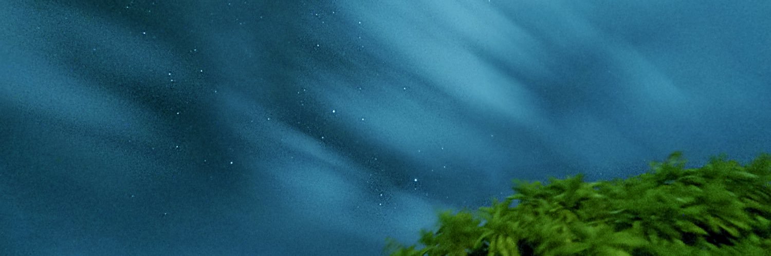 Neikowo's profile banner image