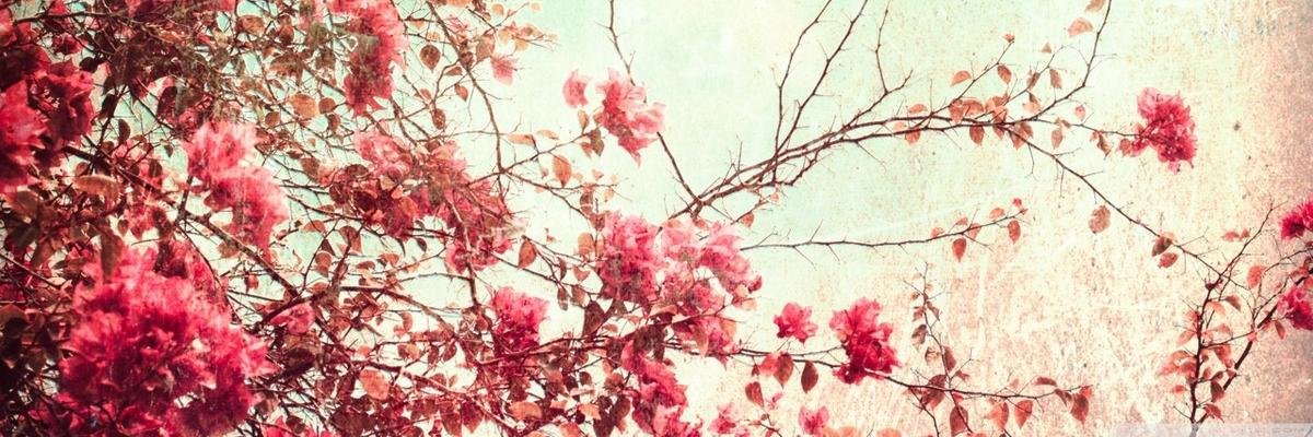 LisaaGoris's profile banner image