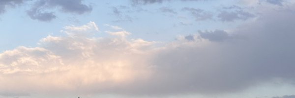 dal_art00 Profile Banner