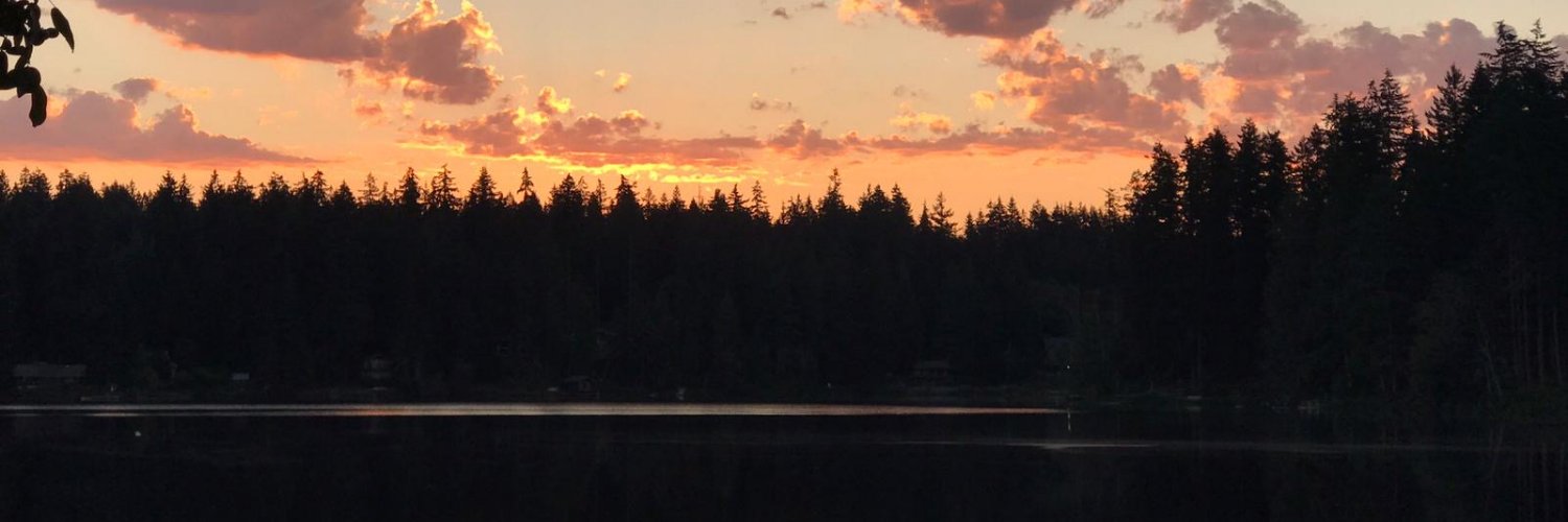 bertonann's profile banner image