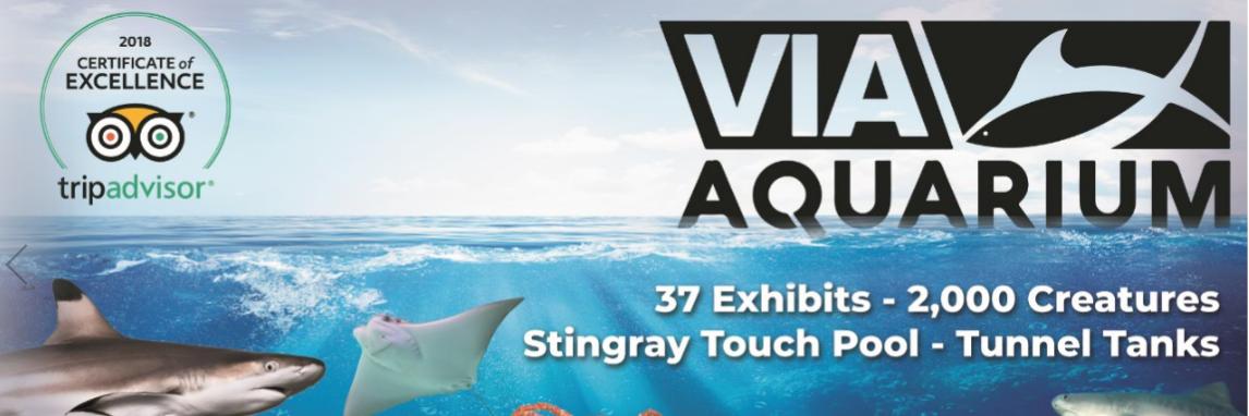 Via Aquarium banner