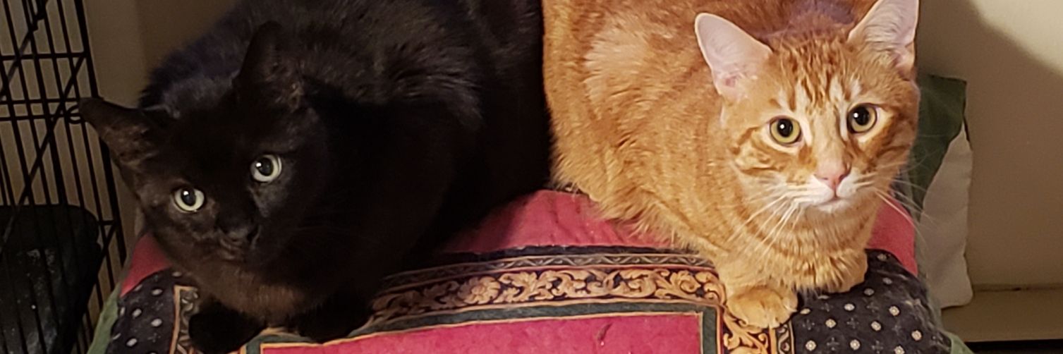 kmckeydunar's profile banner image