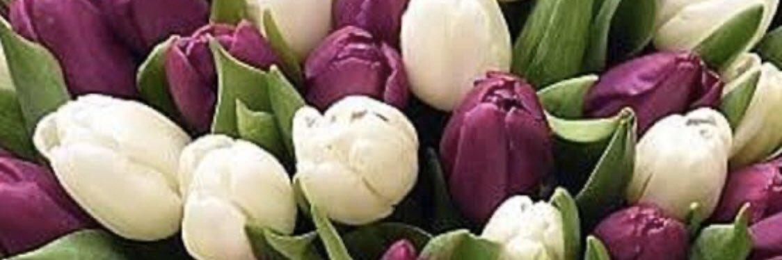 huma_rel's profile banner image