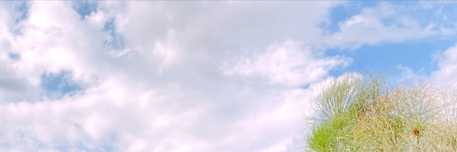 Andi🌸 banner