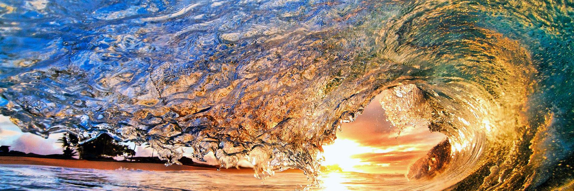 Valarie L. Coleman banner