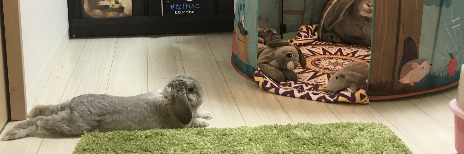 靴下王子のむぎ🧦🐇 banner