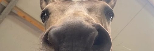 joelertron's profile banner image