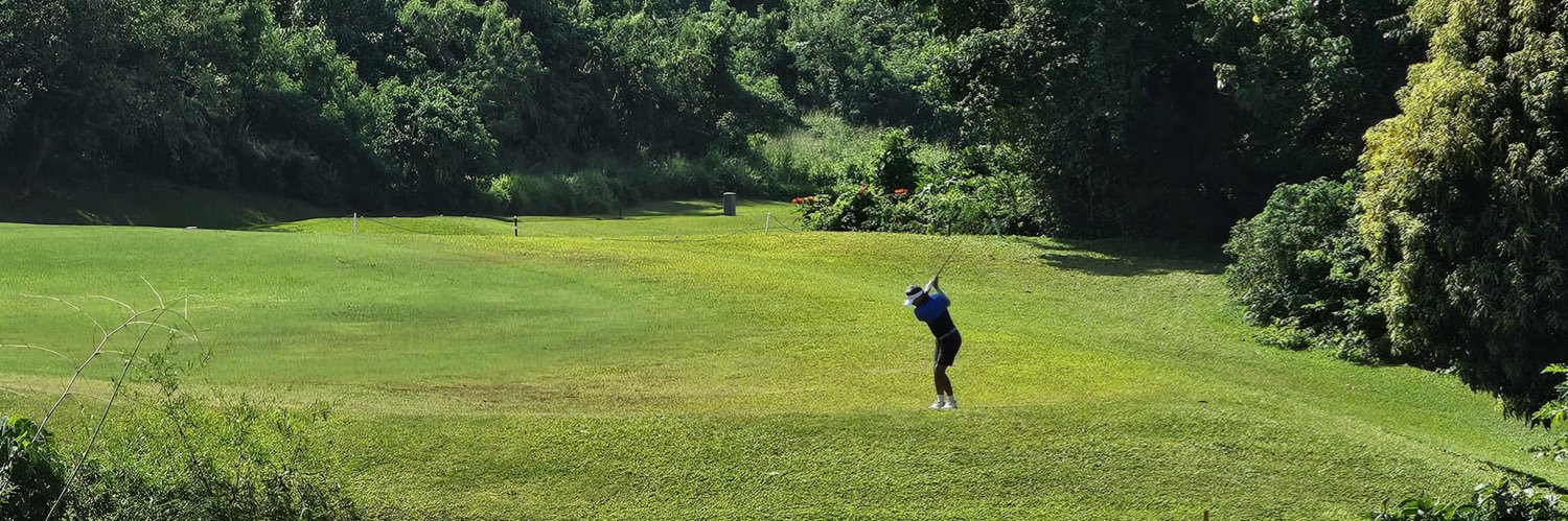 Gilbert C. Remulla banner