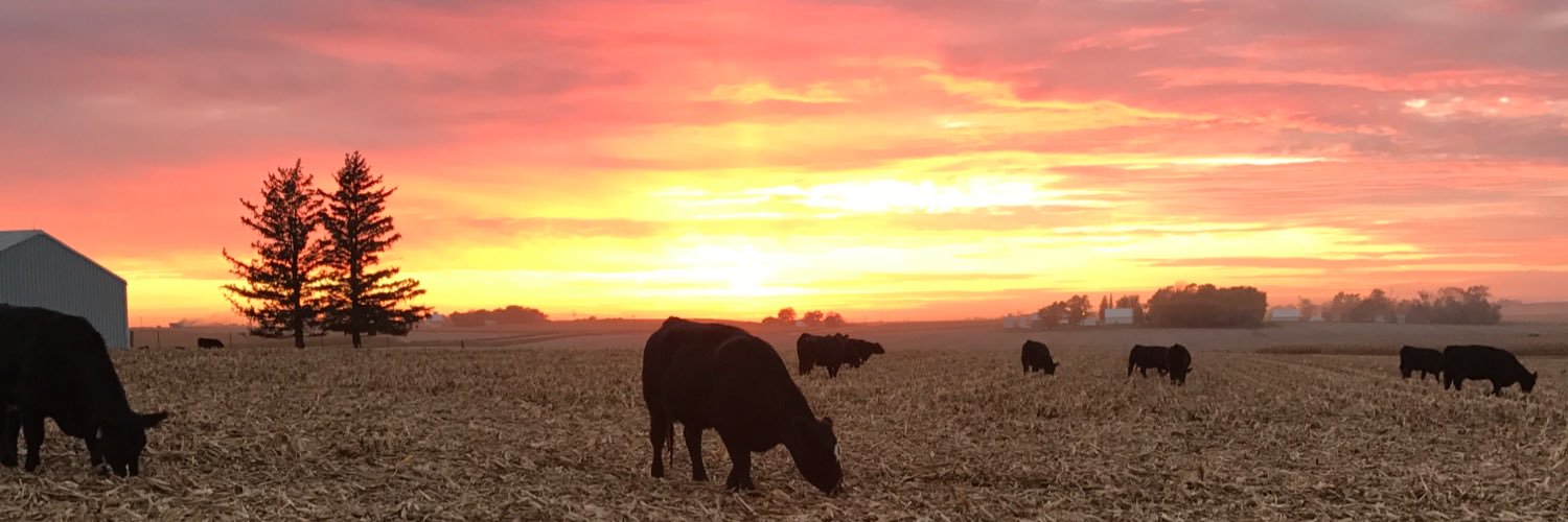 TylerKrug's profile banner image