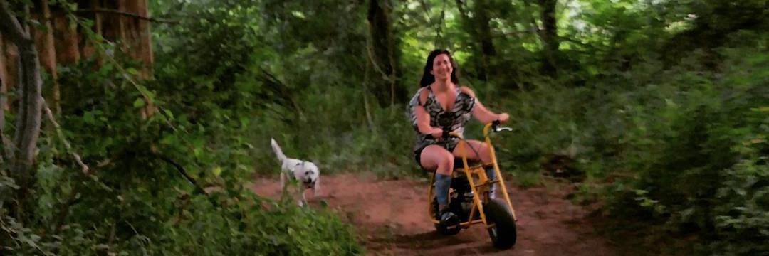 abbyinthewild's profile banner image