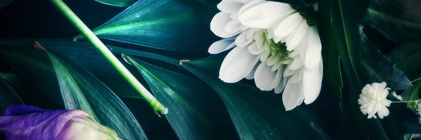 blackkislove's profile banner image
