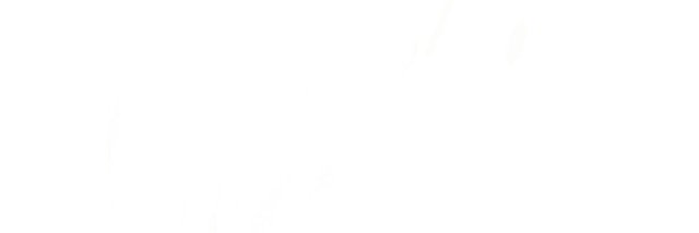 Hanan_tar's profile banner image