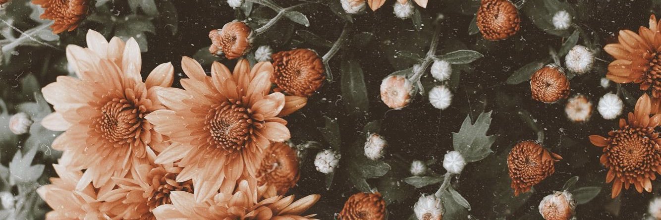 aubweeeeee's profile banner image