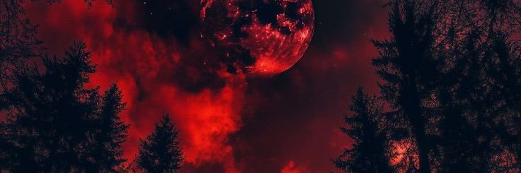 saytion banner