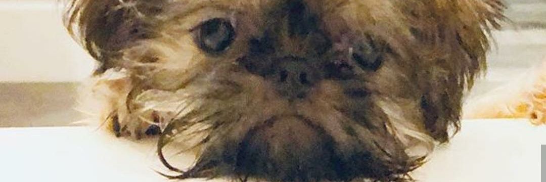 AbergJohan's profile banner image
